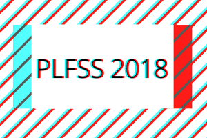 PLFSS 2018