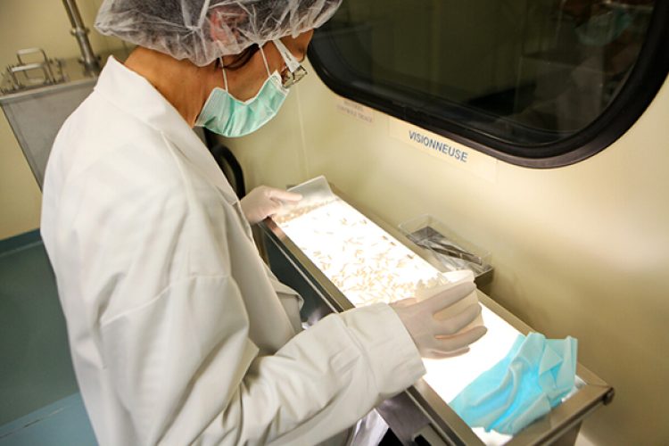 industrie pharmaceutique
